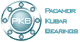 pkb-logo